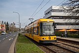 Wolfiii f&auml;hrt selbst in Dresden NGT6DD-ZR 2587
