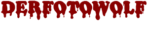 Fotos by DerFotowolf